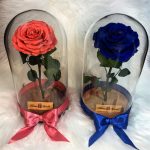 Nagy méretű búrába zárt King Örök Rózsa / Forever Rose - Dark Pink