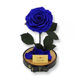  Nagy méretű búrába zárt King Örök Rózsa / Forever Rose - Kék