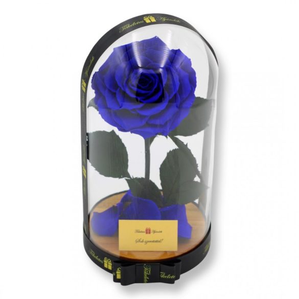 Nagy méretű búrába zárt King Örök Rózsa / Forever Rose - Kék