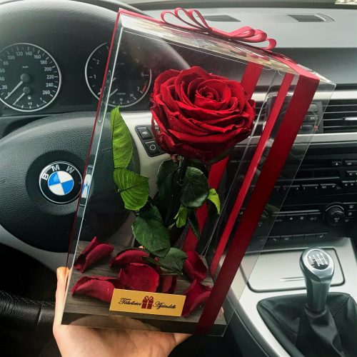Nagy méretű átlátszó dobozos Örök Rózsa / Forever Rose - Vörös