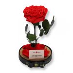Nagy méretű búrába zárt Extra King Örök Rózsa / Forever Rose - Piros