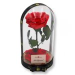 Nagy méretű búrába zárt Extra King Örök Rózsa / Forever Rose - Piros