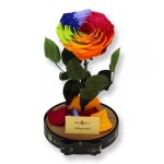 Nagy méretű búrába zárt Extra King Örök Rózsa / Forever Rose - Rainbow