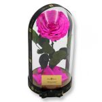 Nagy méretű búrába zárt Extra King Örök Rózsa / Forever Rose - Pink
