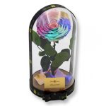 Nagy méretű búrába zárt Extra King Örök Rózsa / Forever Rose - Candy rainbow
