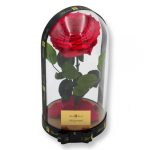Nagy méretű búrába zárt Extra King Örök Rózsa / Forever Rose - Dark pink