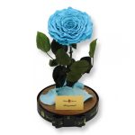 Nagy méretű búrába zárt Extra King Örök Rózsa / Forever Rose - Világoskék