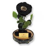 Nagy méretű búrába zárt Extra King Örök Rózsa / Forever Rose - Special fekete