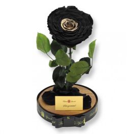   Nagy méretű búrába zárt Extra King Örök Rózsa / Forever Rose - Special fekete