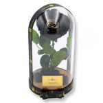 Nagy méretű búrába zárt Extra King Örök Rózsa / Forever Rose - Special fekete