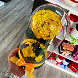   Nagy méretű búrába zárt FESTIVA Örök Rózsa / Forever Rose - Citromsárga
