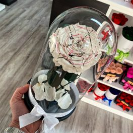   Nagy méretű búrába zárt FESTIVA Örök Rózsa / Forever Rose - Fehér