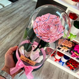   Nagy méretű búrába zárt FESTIVA Örök Rózsa / Forever Rose - Rózsaszín