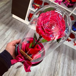  Nagy méretű búrába zárt FESTIVA Örök Rózsa / Forever Rose - Pink