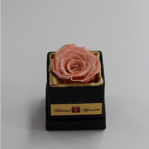 Örök rózsa / Forever rose exkluzív kocka díszdobozban - Barack