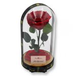 Nagy méretű búrába zárt Extra King Örök Rózsa / Forever Rose - Vörös
