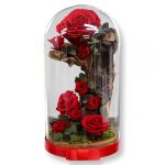 Nagy méretű búrába zárt Örök Rózsa Vasfa kompozíció / Forever Rose