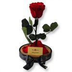 Nagy méretű búrába zárt XL Örök Rózsa / Forever Rose - Vörös