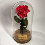 Nagy méretű búrába zárt Örök Rózsa / Forever Rose - Dark Pink