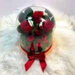 Búrába zárt Örök Rózsa kompozíció / Forever Rose - Vörös