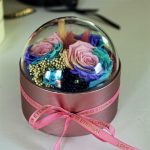 Akryl kupolába zárt Örök Rózsa / Forever Rose kompozíció  - Candy Rainbow