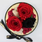 Akryl kupolába zárt Örök Rózsa / Forever Rose kompozíció  - Vörös