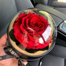   Akryl kupolába zárt Örök Rózsa / Forever Rose  - Vörös