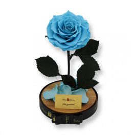   Nagy méretű búrába zárt King Örök Rózsa / Forever Rose - Világoskék