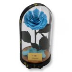Nagy méretű búrába zárt King Örök Rózsa / Forever Rose - Világoskék