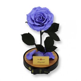   Nagy méretű búrába zárt King Örök Rózsa / Forever Rose - Violet / Ibolya lila