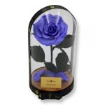 Nagy méretű búrába zárt King Örök Rózsa / Forever Rose - Violet / Ibolya lila