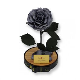   Nagy méretű búrába zárt King Örök Rózsa / Forever Rose - Szürke