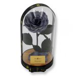 Nagy méretű búrába zárt King Örök Rózsa / Forever Rose - Szürke