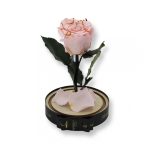 Közepes méretű búrába zárt Örök rózsa / Forever Rose - Rózsaszín Festiva