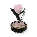 Közepes méretű búrába zárt Örök rózsa / Forever Rose - Rózsaszín