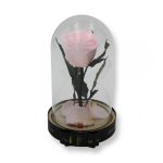 Közepes méretű búrába zárt Örök rózsa / Forever Rose - Rózsaszín
