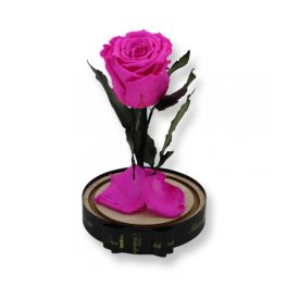   Közepes méretű búrába zárt Örök rózsa / Forever Rose - Pink
