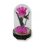 Közepes méretű búrába zárt Örök rózsa / Forever Rose - Bicolor Pink