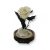 Közepes méretű búrába zárt Örök rózsa / Forever Rose - Bicolor Fehér / zöld