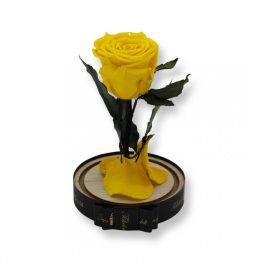   Közepes méretű búrába zárt Örök rózsa / Forever Rose - Citrom