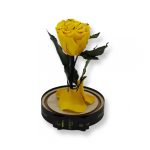 Közepes méretű búrába zárt Örök rózsa / Forever Rose - Citrom Festiva