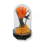 Közepes méretű búrába zárt Örök rózsa / Forever Rose - Narancs