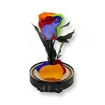 Közepes méretű búrába zárt Örök rózsa / Forever Rose - Rainbow