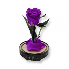   Közepes méretű búrába zárt Örök rózsa / Forever Rose - Lila