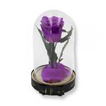 Közepes méretű búrába zárt Örök rózsa / Forever Rose - Lila
