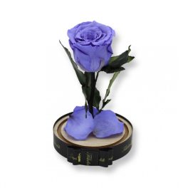   Közepes méretű búrába zárt Örök rózsa / Forever Rose - Violet Lila