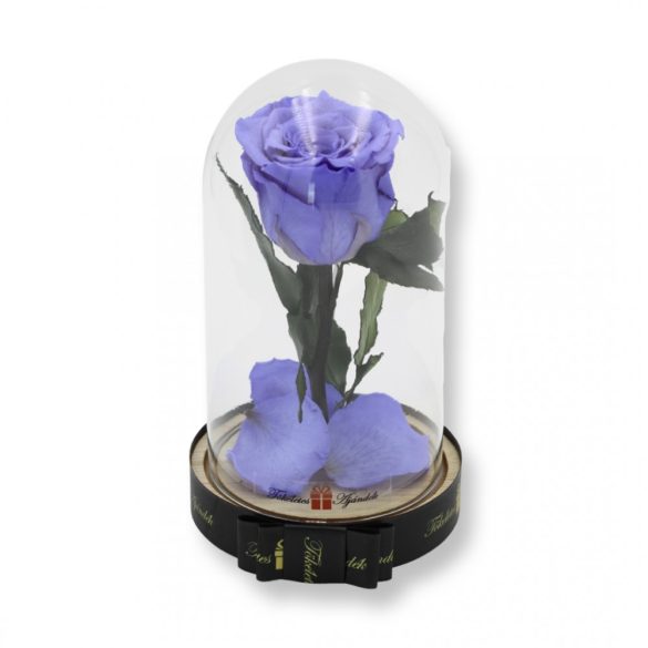 Közepes méretű búrába zárt Örök rózsa / Forever Rose - Violet Lila