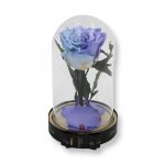 Közepes méretű búrába zárt Örök rózsa / Forever Rose - Bicolor Világoskék / Violet lila