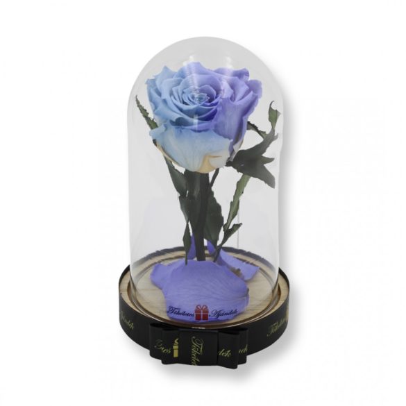 Közepes méretű búrába zárt Örök rózsa / Forever Rose - Bicolor Világoskék / Halványlila