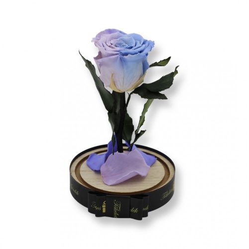 Közepes méretű búrába zárt Örök rózsa / Forever Rose - Bicolor Halványlila /Violet lila